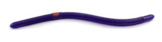 Kelly's Bass Worms Two-Hook Weedless - Purple Wild Grape