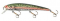 Bomber Long A - Rainbow Trout