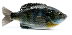 Savage Gear DC Slide Gill - Black Gill