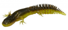 Savage Gear Ned Salamander - Green Pumpkin Chartreuse