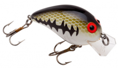 Bomber Square A - Baby Bass/Orange Belly