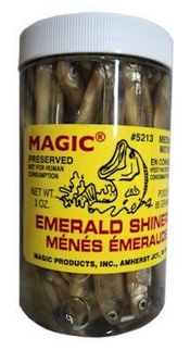 Magic Products Preserved Emerald Shiner Minnows