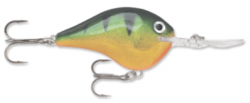 Rapala DT (Dives-To) Series - Perch