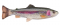 Savage Gear 4D Pulse Tail Trout - Ghost Trout