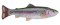 Savage Gear 4D Pulse Tail Trout - Trout