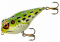 Rebel Frog-R - Leopard Frog