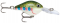 Rapala Ultra Light Crank - Rainbow Trout